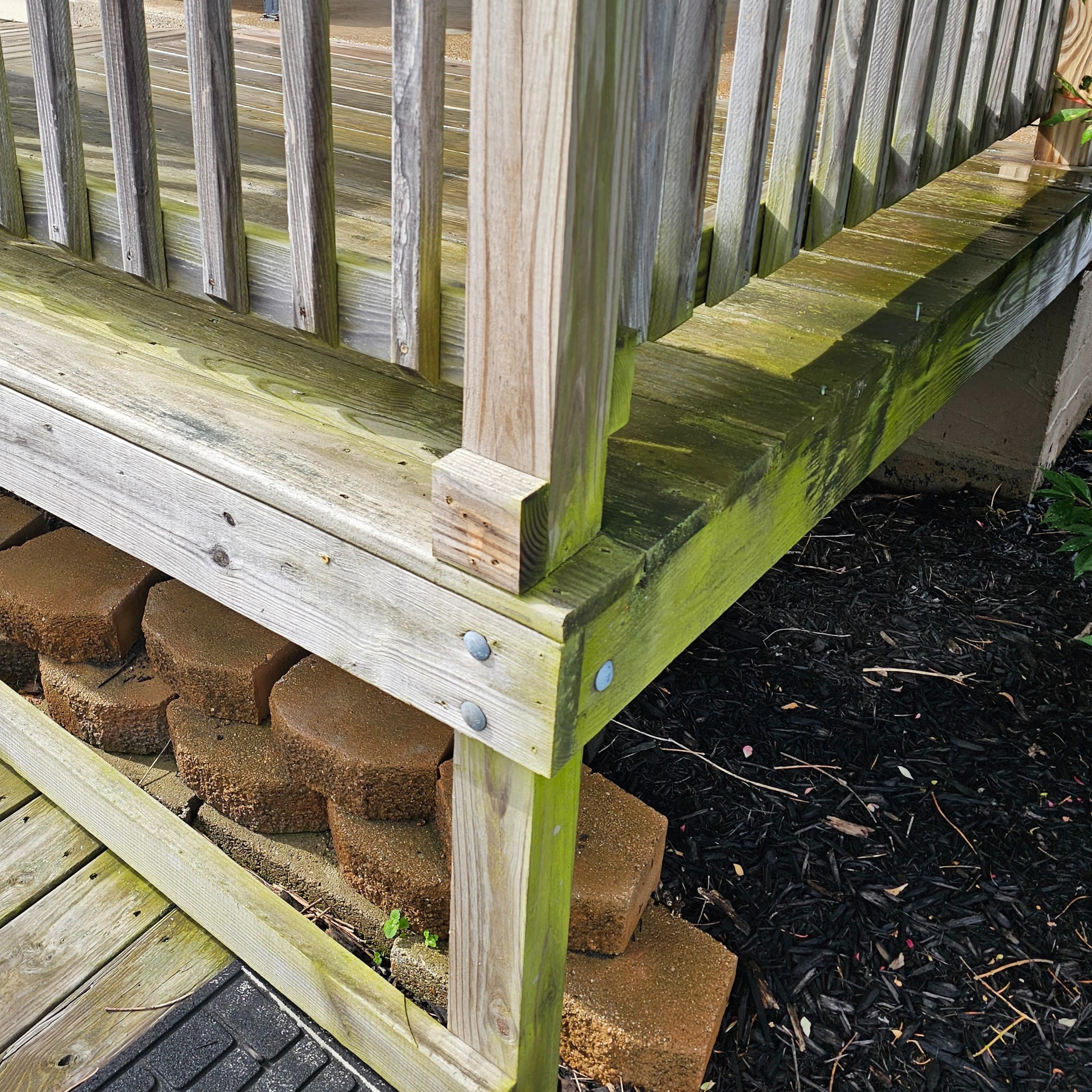 Deck restored after soft washing