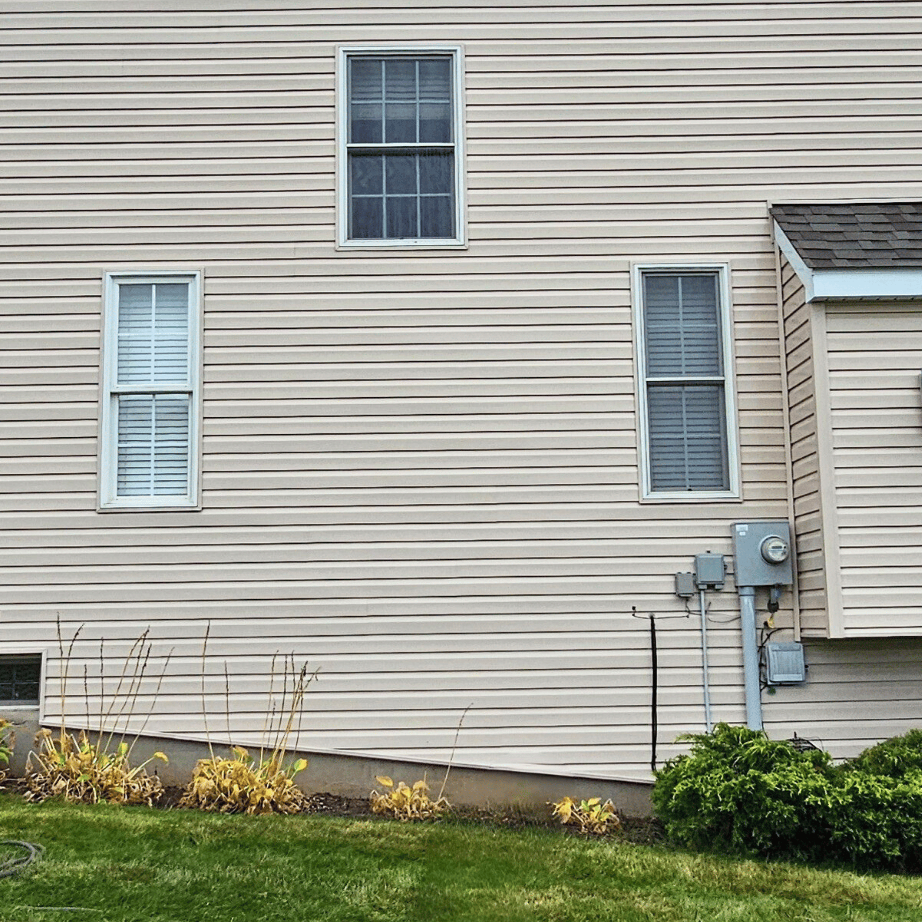 Vinyl siding with dirt streaks and algae before washing